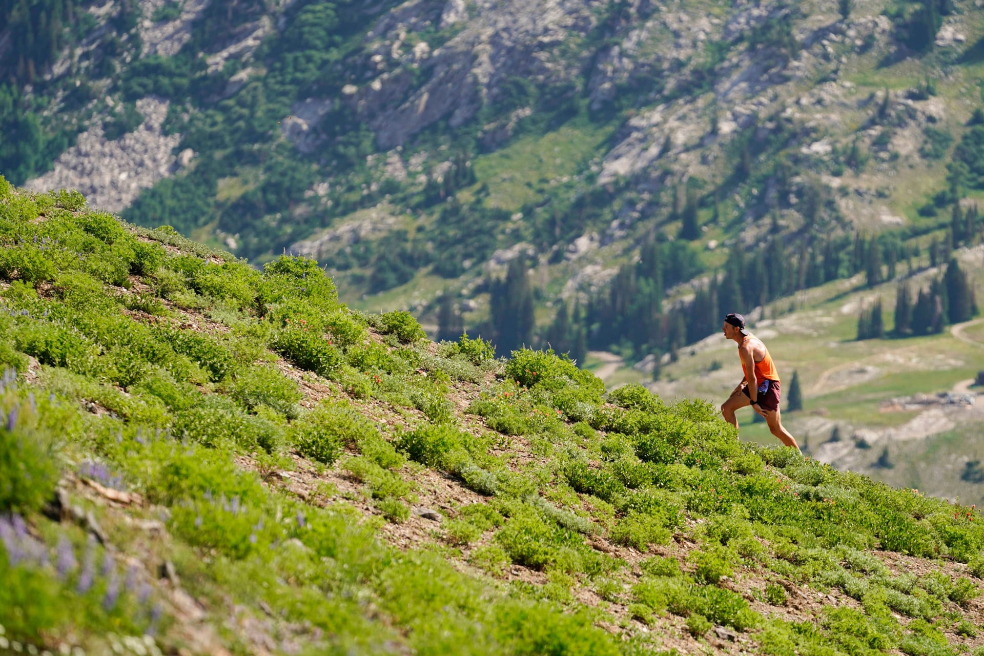 Speedgoat hotsell ultra runner